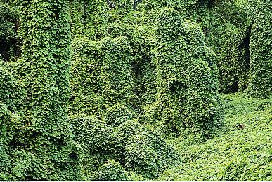 Steam新一周销量榜 《怪物猎人：荒野》四连冠被终结